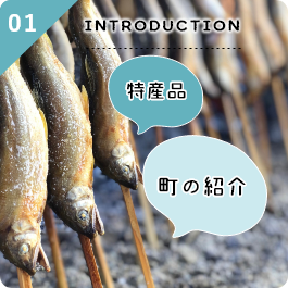 01:INTRODUCTION 特産品 町の紹介