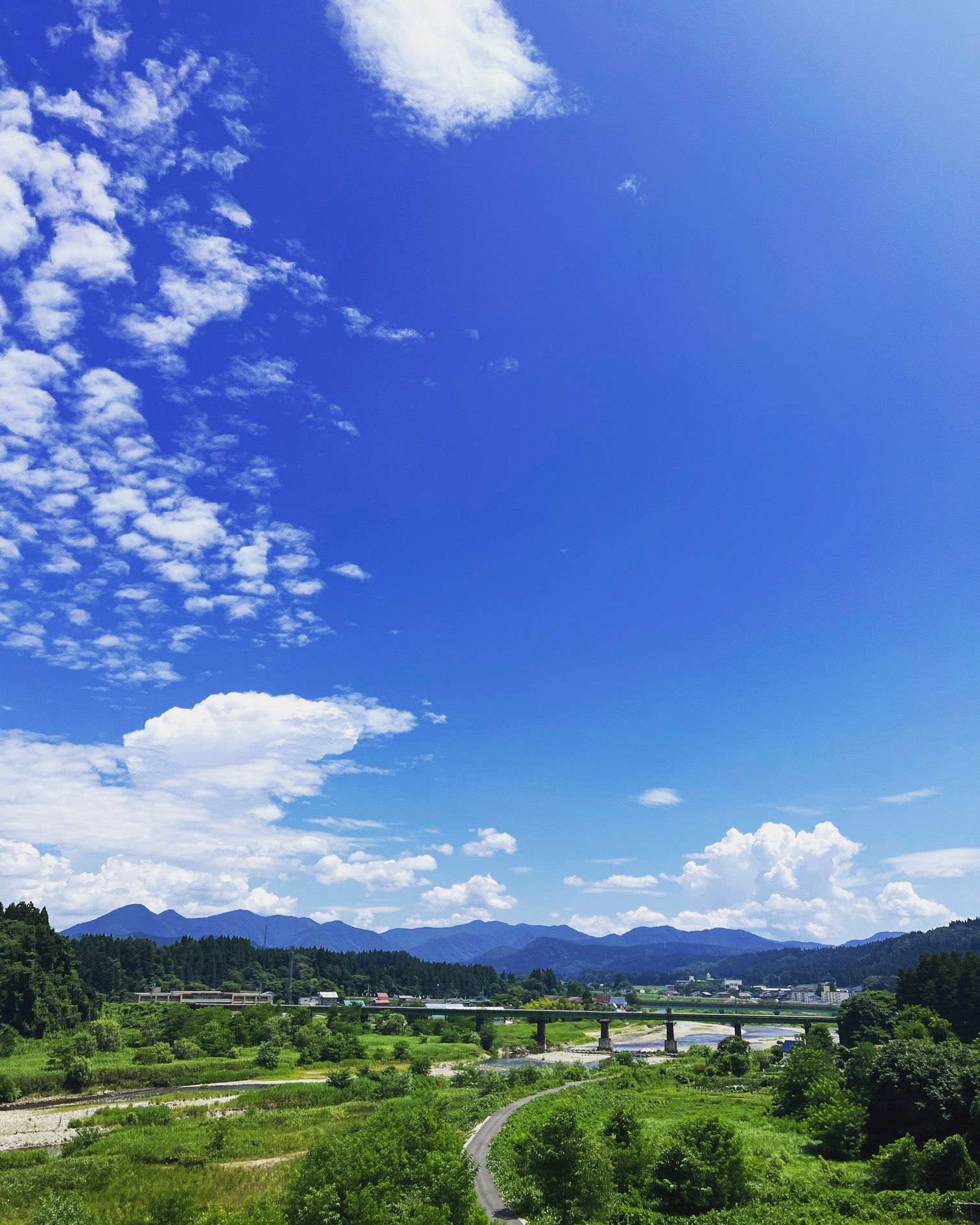 amamokak（優秀賞）