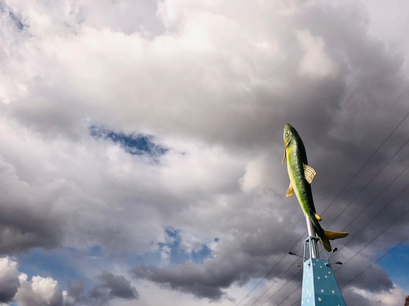 wa_tasuさん（特別賞）