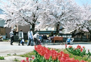 のどか：庄司聡様撮影の画像