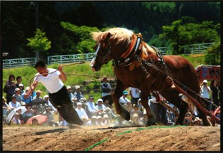 生涯共に：鈴木孝一様撮影の画像