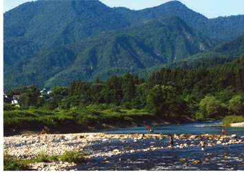 夏の日：村岡和久様撮影の画像