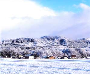 雪景色：成澤強様撮影の画像