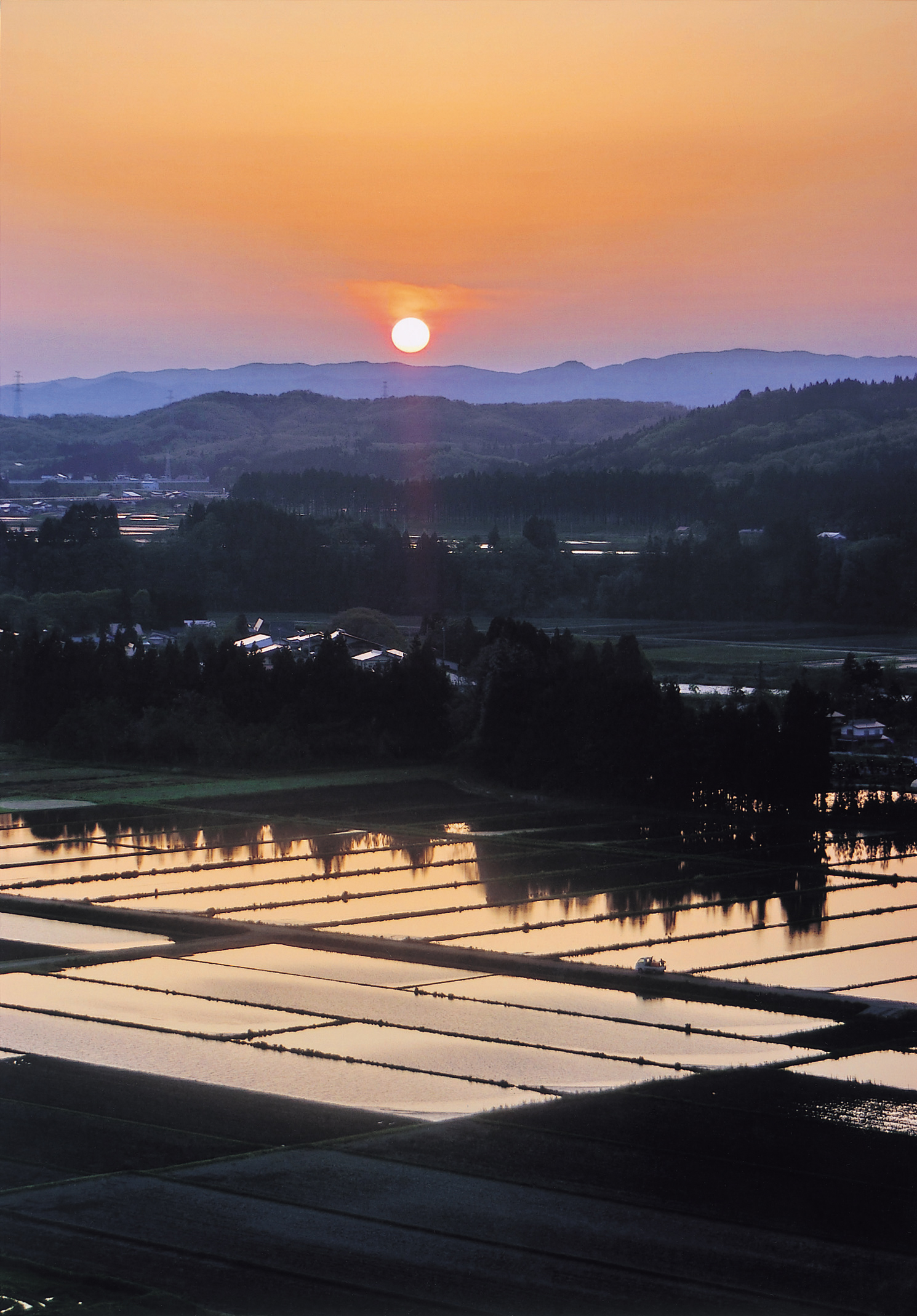 春の夕陽：太田和慶様撮影の画像