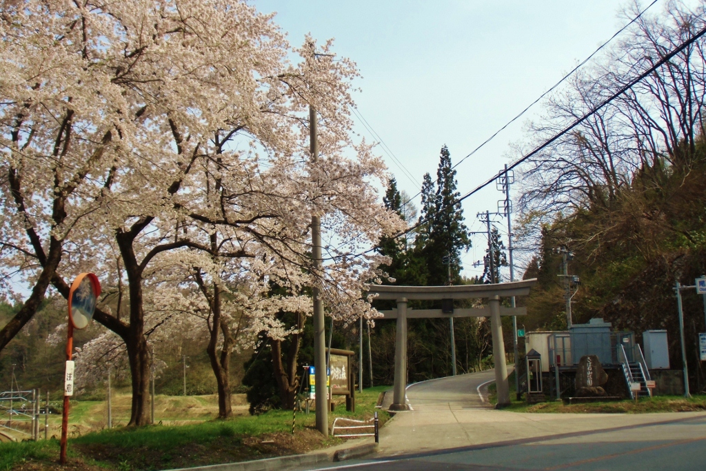 猿羽根山公園入り口1の画像