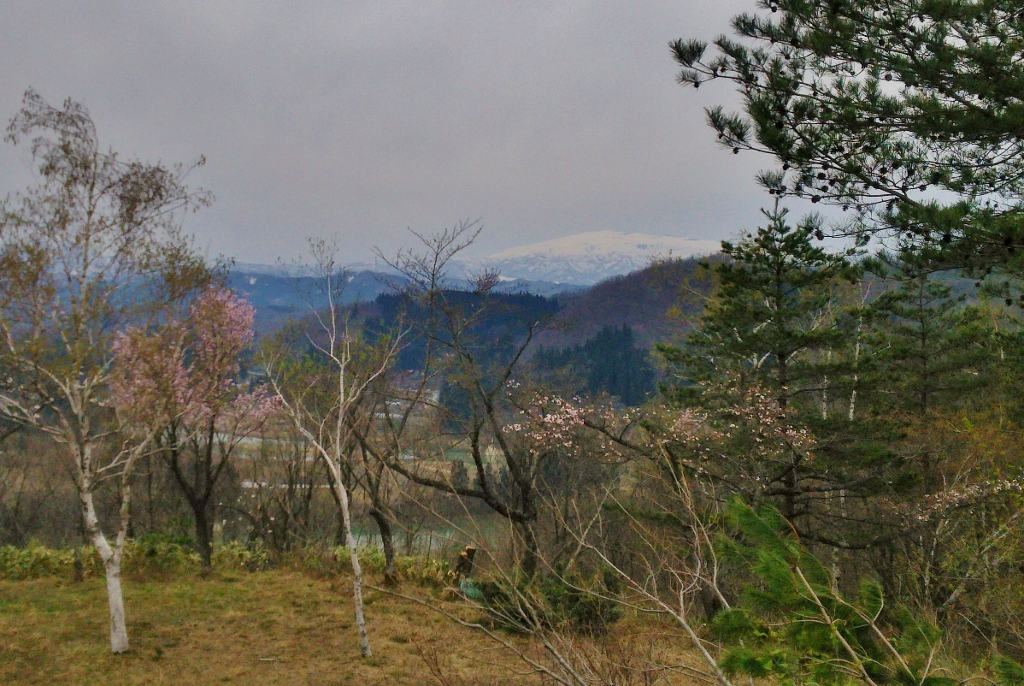 月山の画像