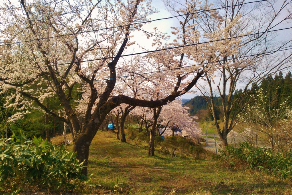 眺望の広場2の画像