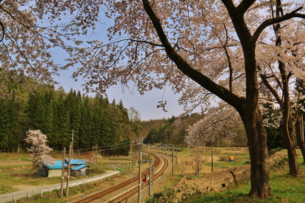 猿羽根山公園入り口2の画像