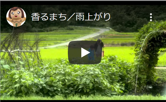 香るまち／雨上がり