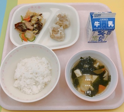 04megamichan2.jpg