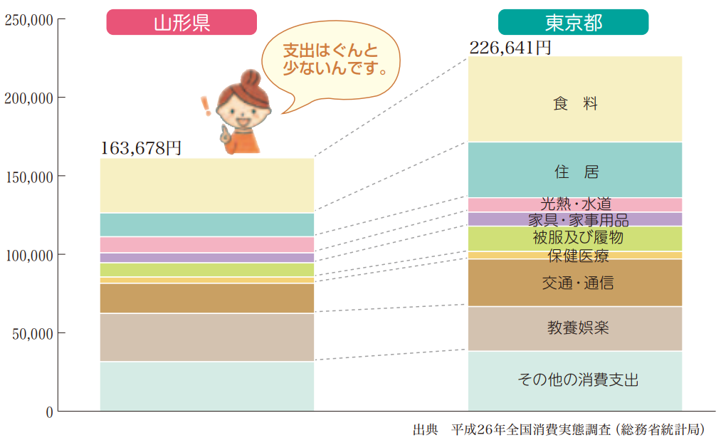 1か月間の支出の画像