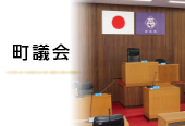 町議会